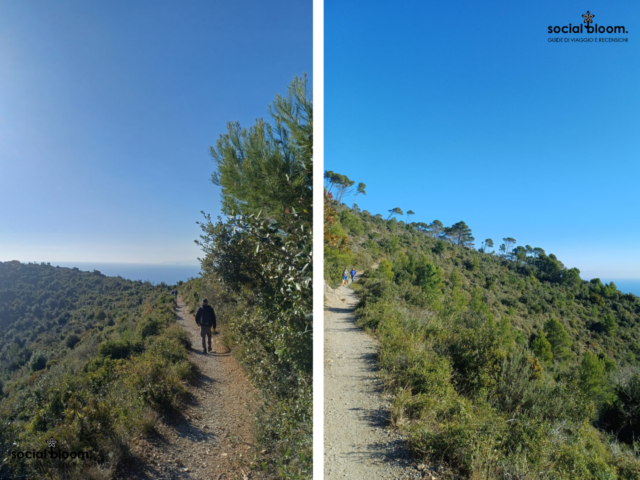 trekking sentiero del pellegrino